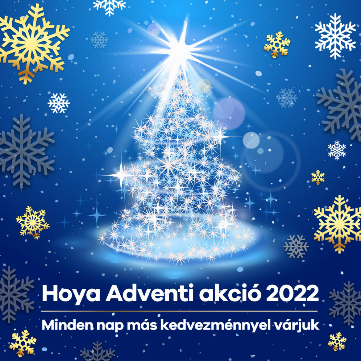 2022_Hoya_Advent_FB_poszt_4.jpg